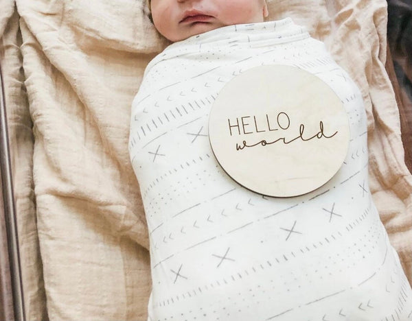 Hello World Sign - Baby birth announcement sign