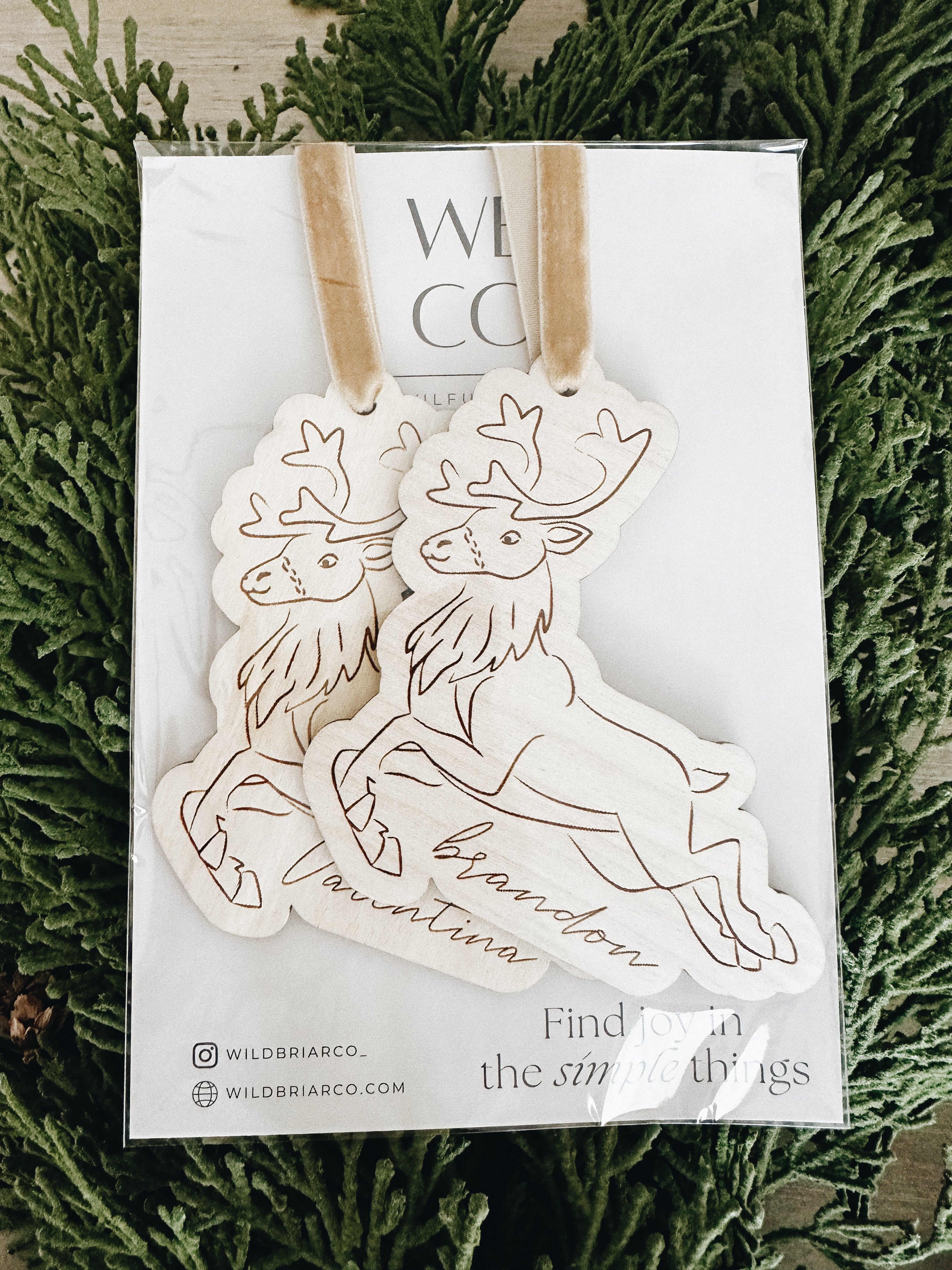 Rudolph Reindeer Name Tag Ornament, Personalized Christmas Tag, Whimsical Christmas Reindeer, Custom Kids Holiday Name Tag